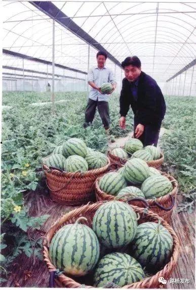 路桥吃瓜最新事件爆料,最新吃瓜事件揭秘,真相令人震惊! 第1张 路桥吃瓜最新事件爆料,最新吃瓜事件揭秘,真相令人震惊! 第1张